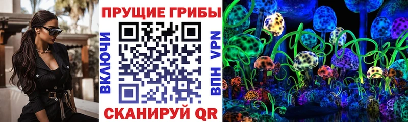 купить наркоту  Партизанск  Галлюциногенные грибы мухоморы 